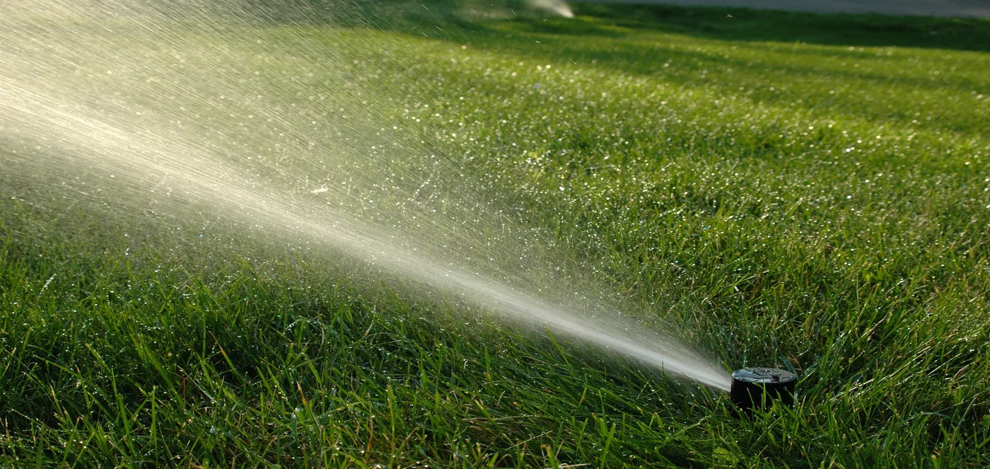 Sprinkler head in action on a green lawn